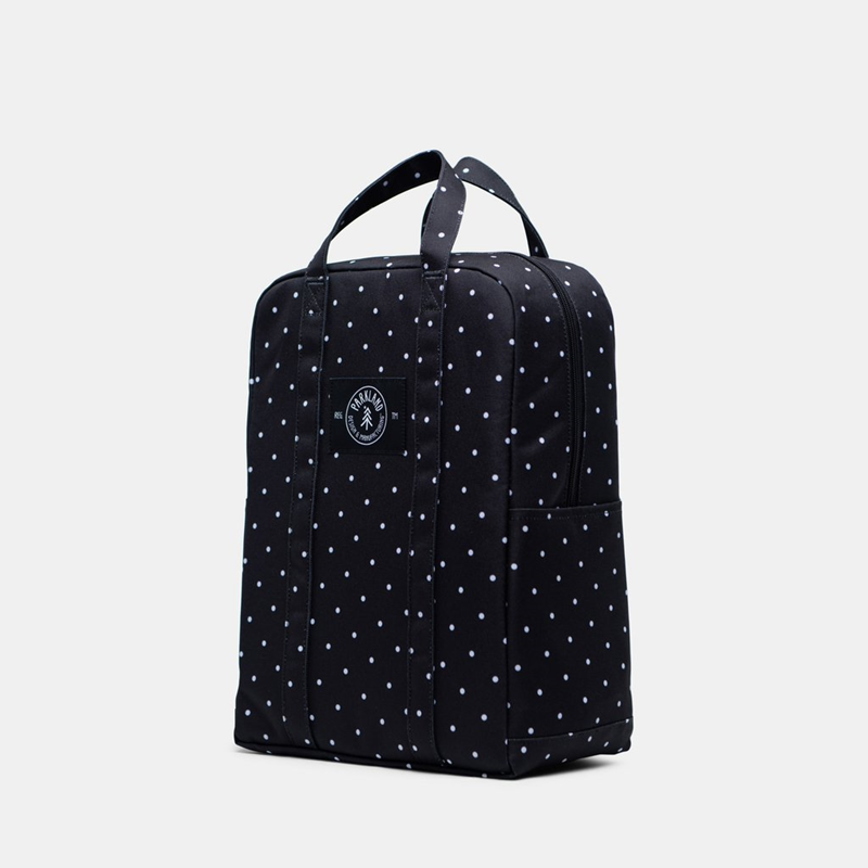 parkland remy backpack